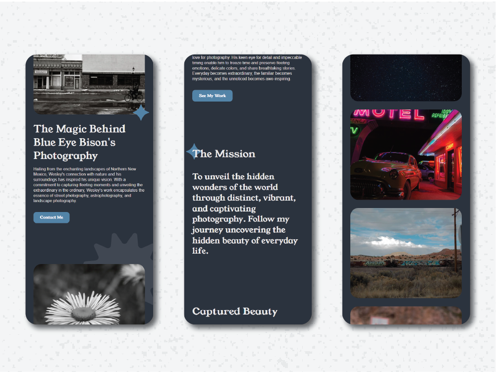 Various mockups of mobile versions of Blue Eye Bison Website.